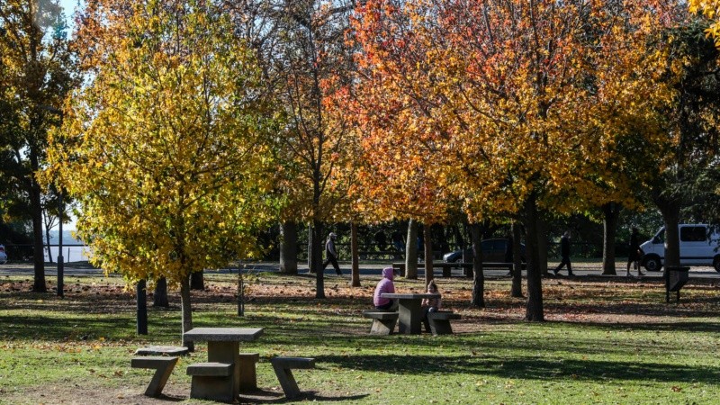 Los colores amarillos y naranjas de las hojas embellecen el parque Urquiza.