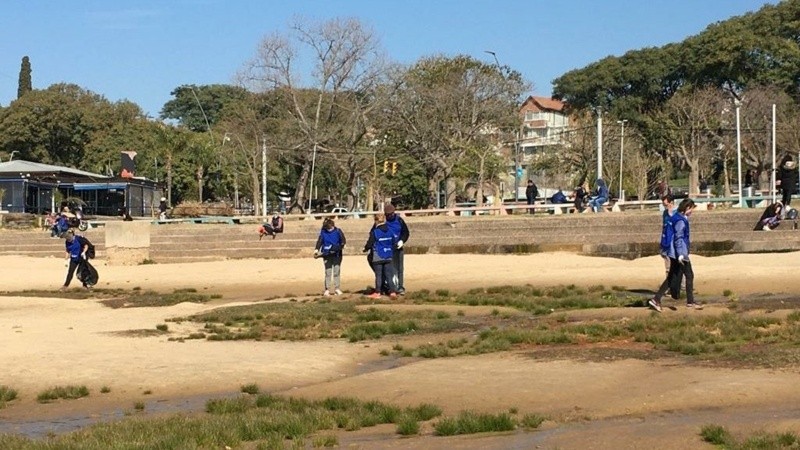 Los voluntarios en la limpieza del río Paraná. 