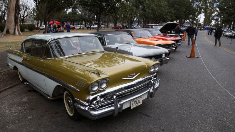De todo tipo y color: la muestra de autos en el Parque Independencia.