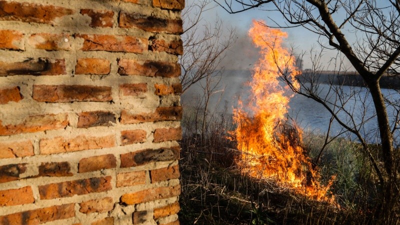 El fuego de cerca: imágenes de los incendios en los humedales.