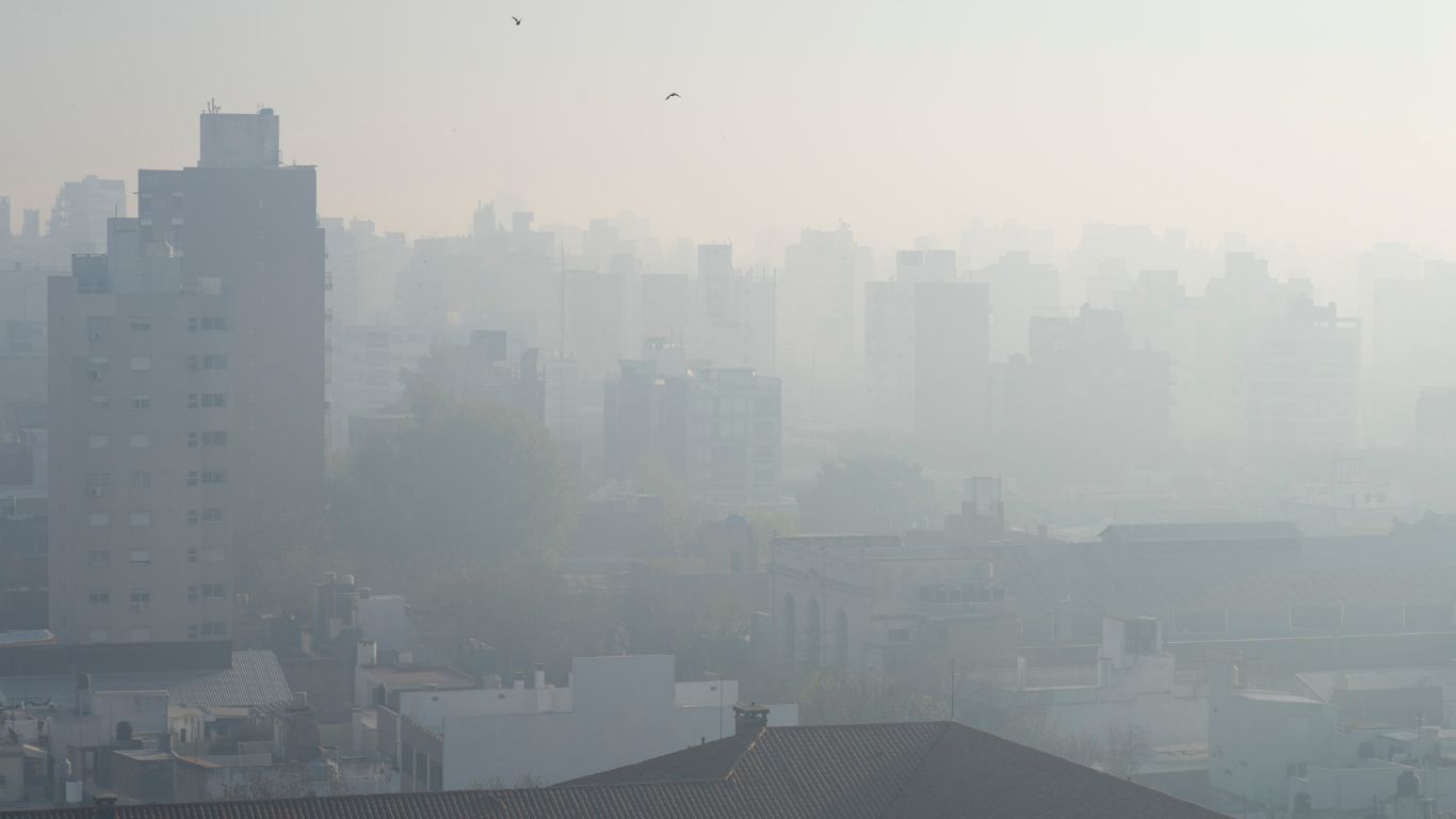 Tanto humo que tapó el plomo: desde el humedal, la Argentina al palo