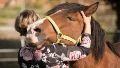 Ushuaia aprobó una ley que reconoce a los caballos como seres sintientes