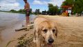 Tras un domingo a pleno sol, la semana llega con más calor y con lluvias para Año Nuevo