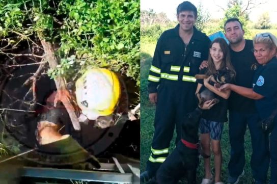 Bomberos rescataron a Judi, una cachorrita que había caído a un profundo pozo