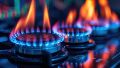 El frío y los cuidados a tener en cuenta con el gas: "Está prohibido calefaccionar con las hornallas de la cocina"
