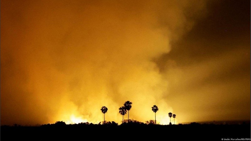 Los incendios ya afectaron unas 627.000 hectáreas en el estado de Mato Grosso do Sul.