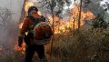 Bomberos brasile�os luchan contra el fuego en Pantanal