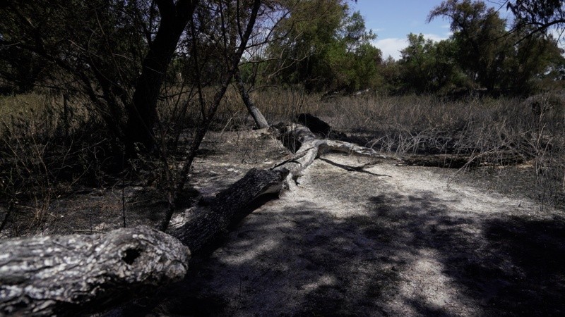 Así quedaron varios sectores de la isla arrasados por el fuego desde el jueves.