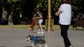 El "abrazo" caluroso entre un perrito y su dueña en la plaza San Martín.